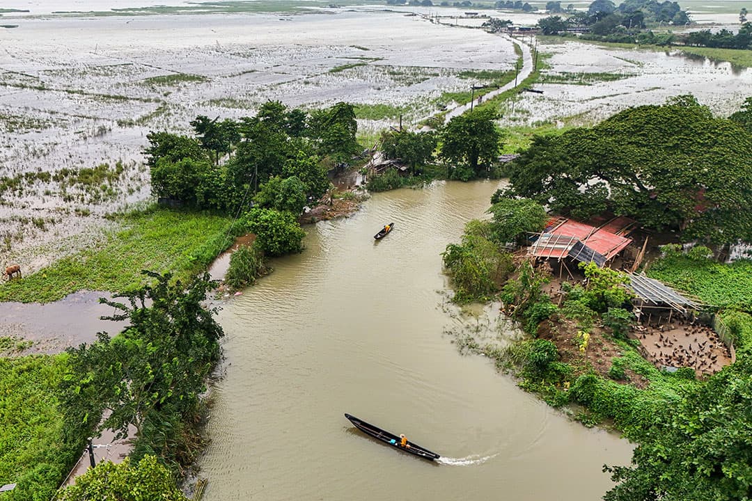 Forging a resilient Philippine economy in the age of shocks - BusinessWorld Online