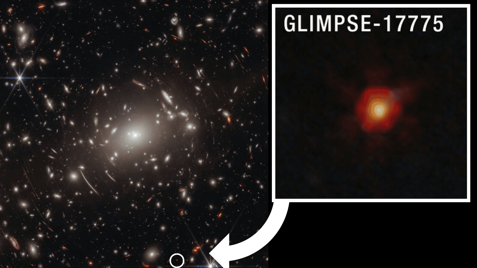 James Webb Space Telescope finds evidence the mysterious 'little red dots' are black hole stars