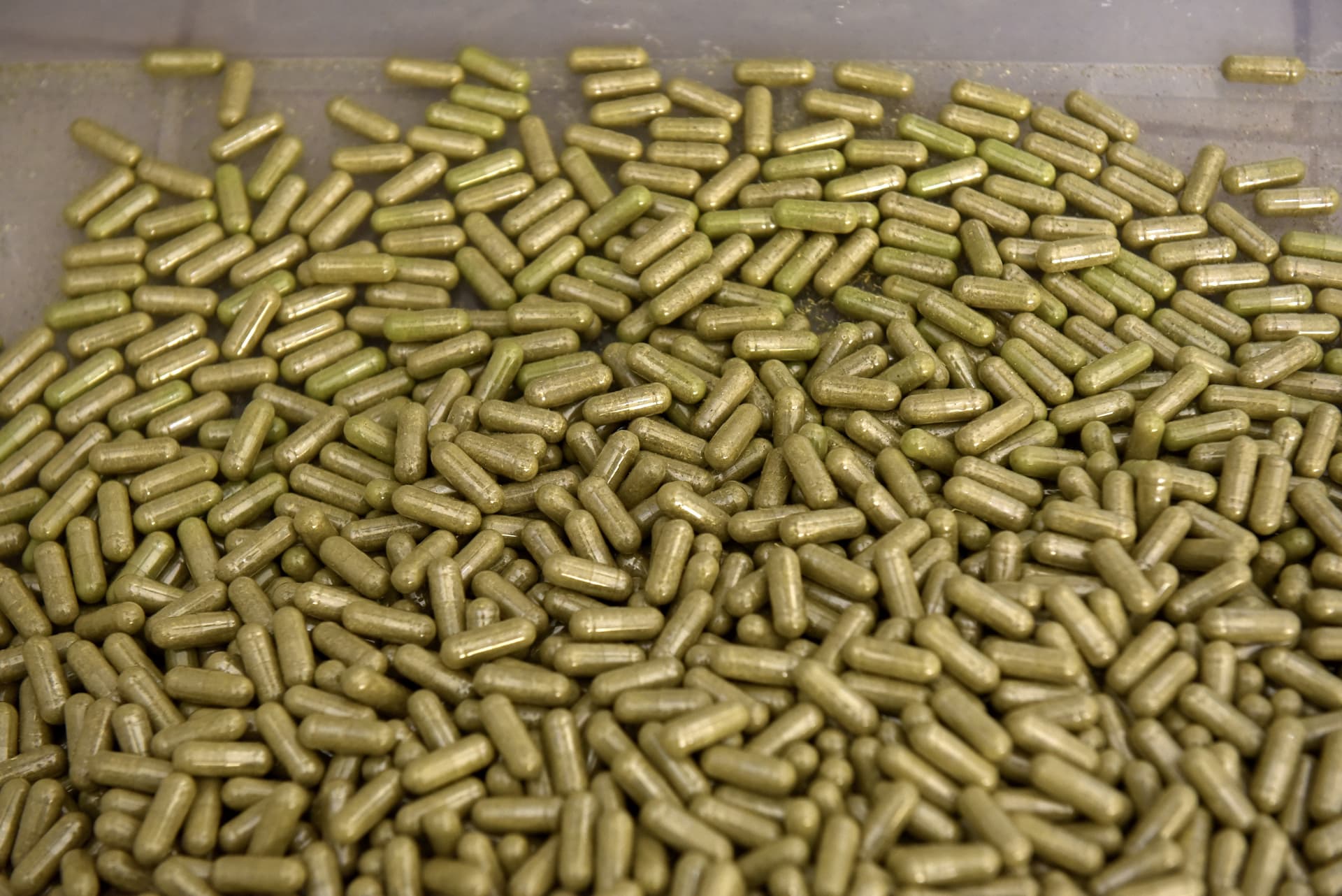 Three Moringa Supplement Salmonella Investigations Are Active Right Now — Is Your Brand on the Recall List?