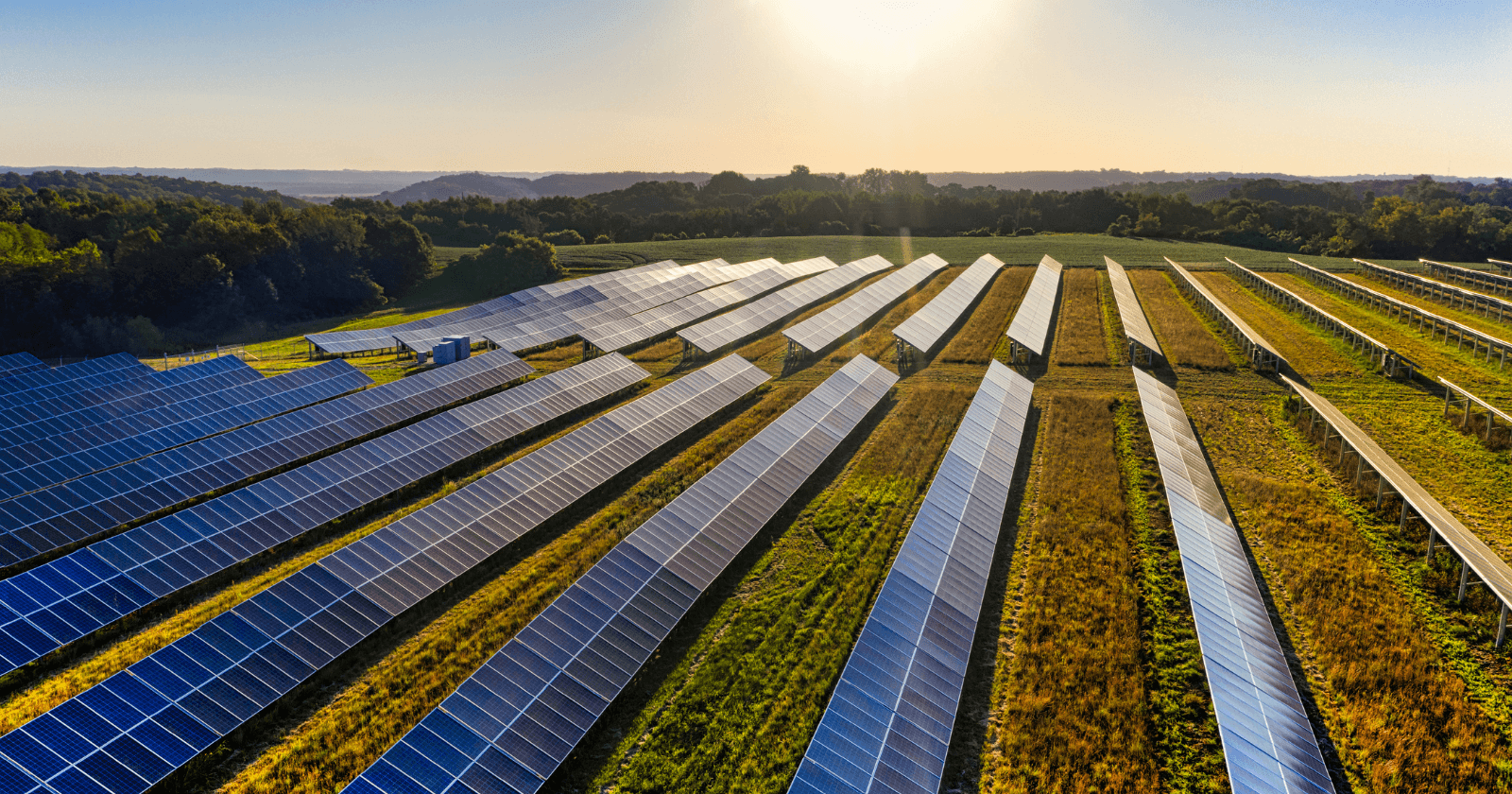 A French trial found that tilting solar panels flat over nectarine trees on nights when frost is forecast warmed the flower buds by up to 1.7 degrees Celsius, and during the frost that caused damage, flower injury fell from 35 percent to under 10 percent - ScienceBlog.com