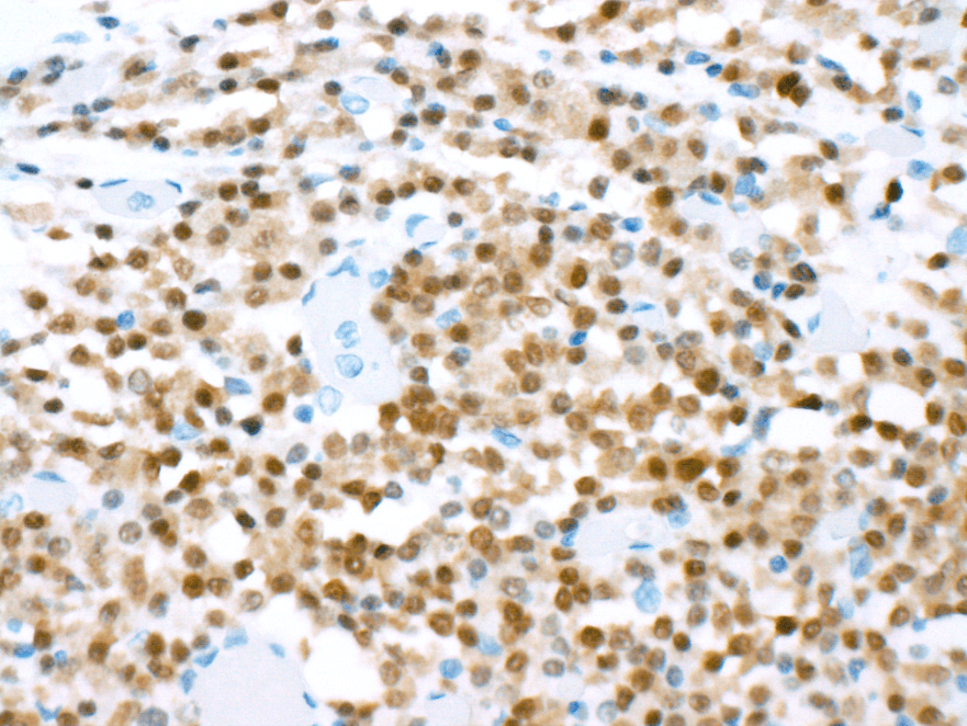 Research updates, July 7 - The Sick Times