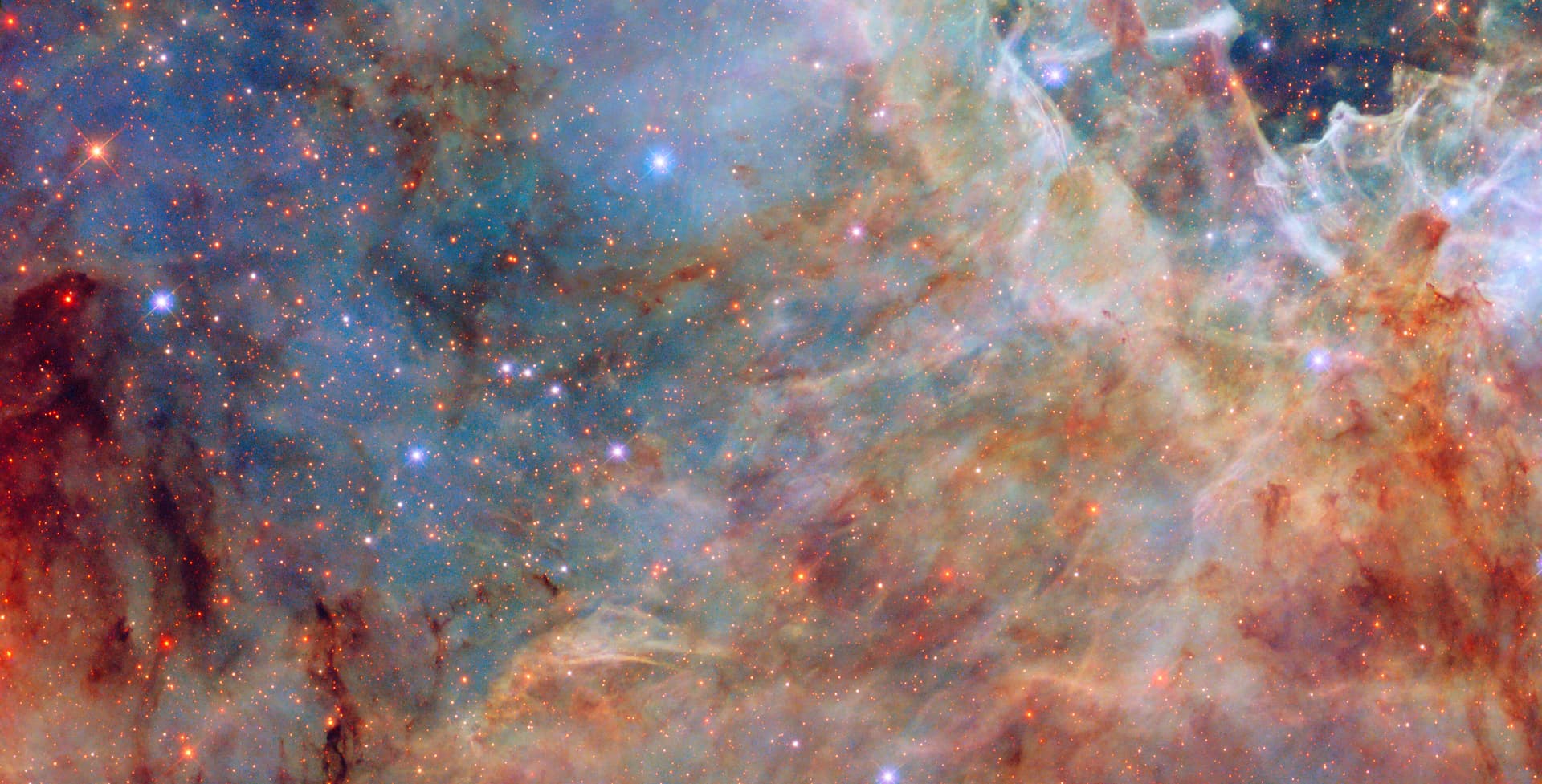 Rapport annuel 2024 du Bureau des partenariats d'Ames - NASA