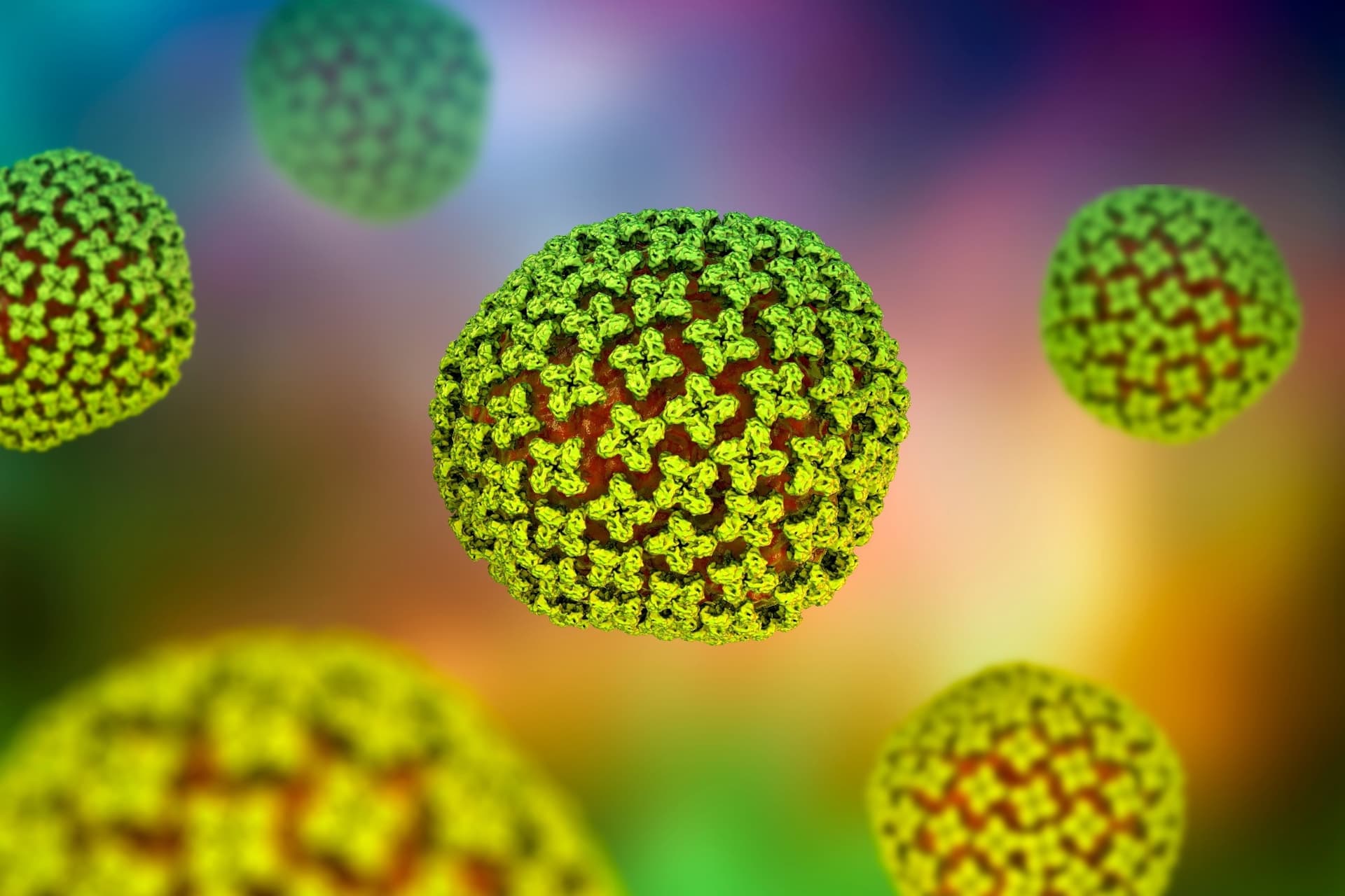 Gli scienziati scoprono 70 farmaci esistenti che bloccano le infezioni letali da hantavirus