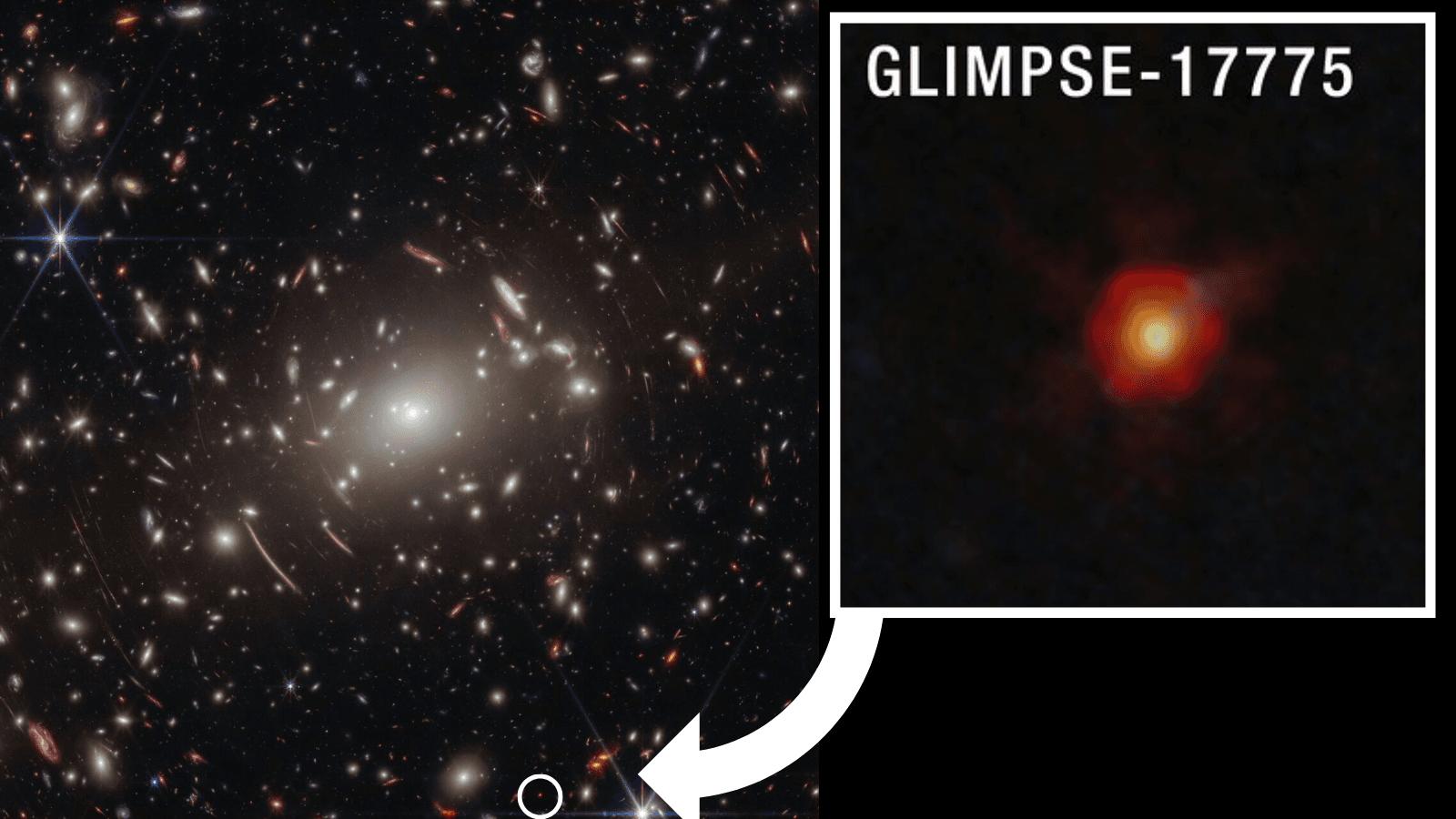 James Webb Space Telescope finds evidence the mysterious 'little red dots' are black hole stars