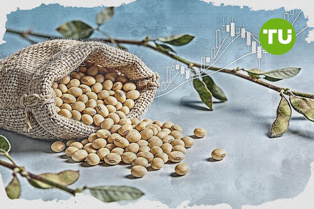 -1.33% para los futuros de la soja mientras China mantiene los aranceles a la importación de soja de EE. UU.