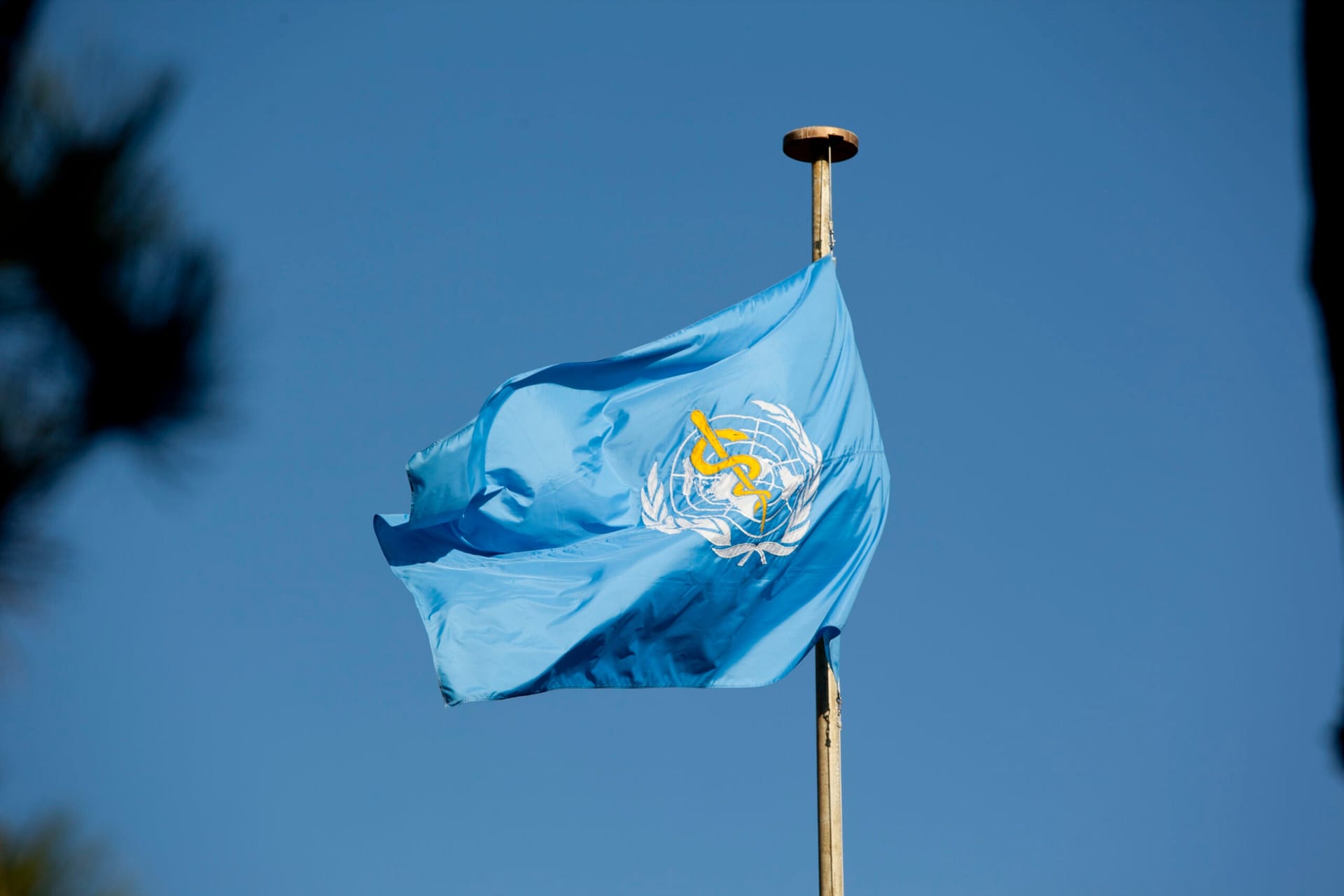 One Health in a Fractured World: Why Global Health Governance Must Adapt to Geopolitical Fragmentation | Georgetown Journal of International Affairs