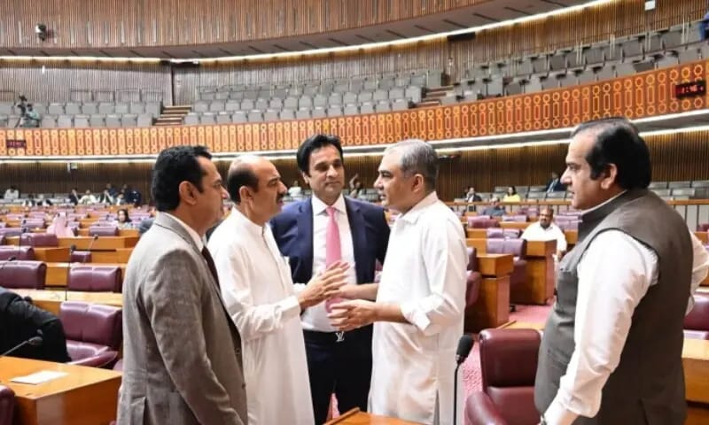 नेशनल असेंबली सत्र में निर्वाचन क्षेत्र के मुद्दों का दबदबा - Newspaper - DAWN.COM