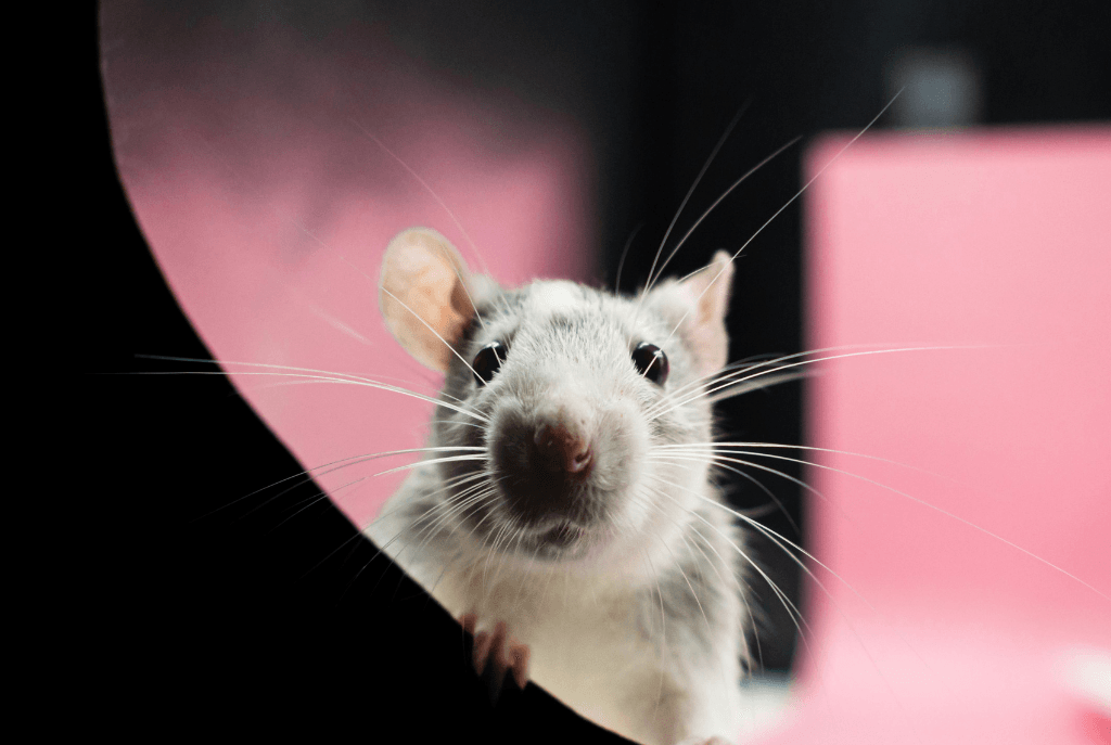 Research updates, June 2 - The Sick Times
