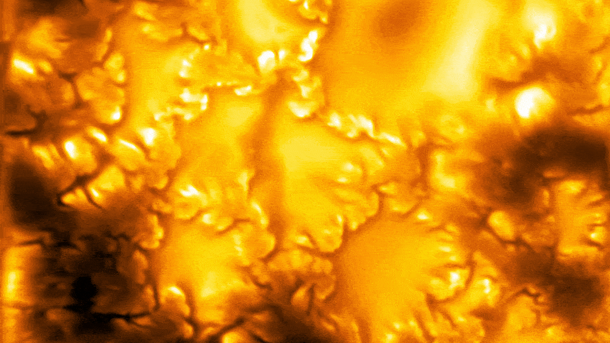 „Einfach erstaunlich“: Rekordverdächtige Bilder zeigen, dass die Sonne voller wirbelnder Vortizes ist : ScienceAlert
