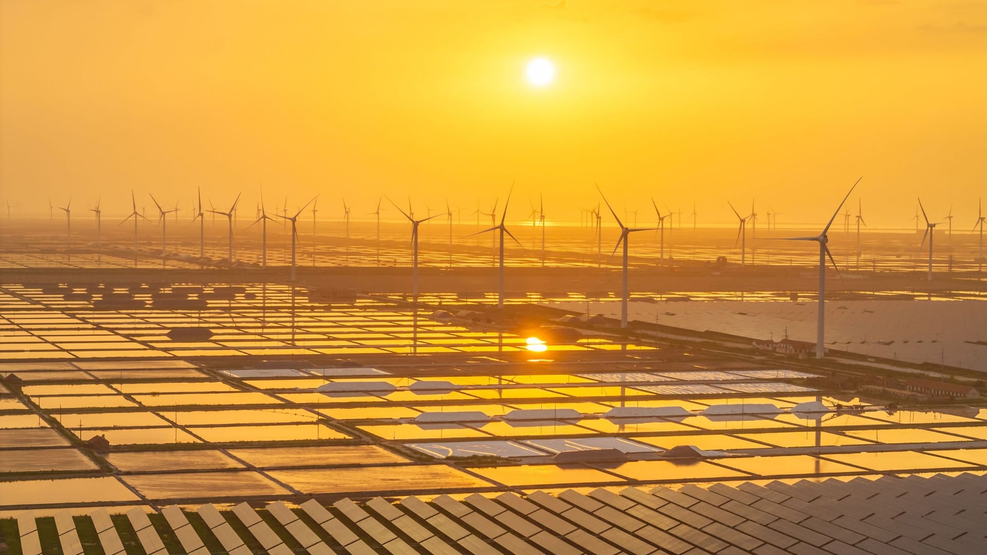 'We zijn iets laat met de zaak, maar we zijn ermee bezig': Auteur Fred Pearce over de opkomst van hernieuwbare energie, een onschadelijke bevolkingsbom en de natuur haar eigen gang laten gaan