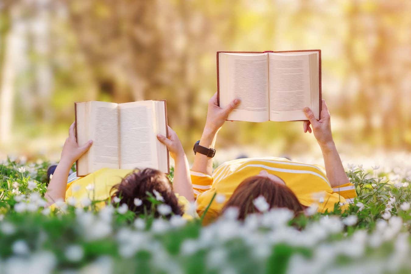 I 17 migliori libri di divulgazione scientifica del 2026 finora