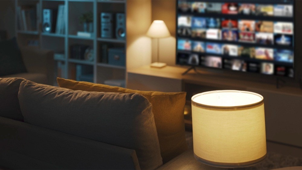 Films, series & sports: top choice for paid subscriptions - News articles - Eurostat