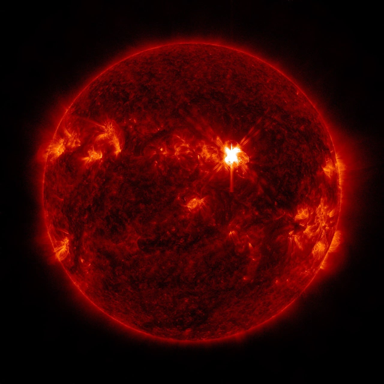 Emendamento 66: Annunciata la data di scadenza per lo Step-2 della Ricerca Fondamentale di Eliofisica B.2 e correzione - NASA Science