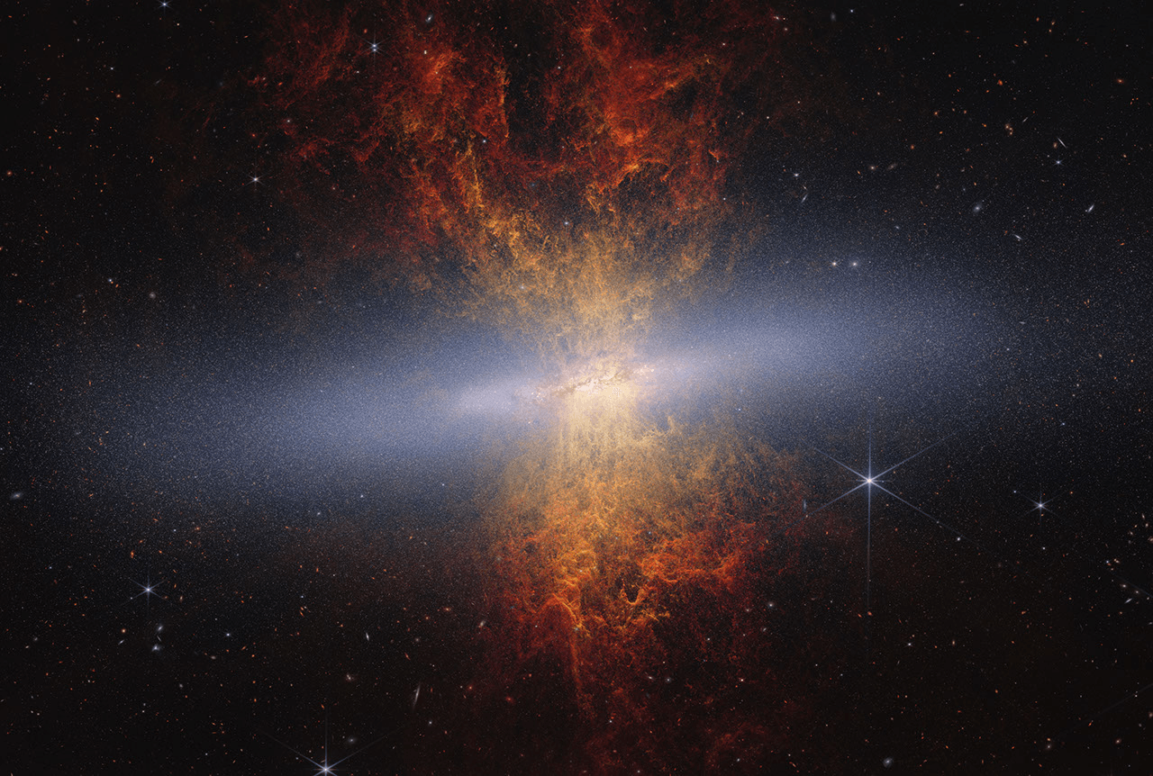 Il Webb della NASA individua milioni di stelle all'interno della Galassia Sigaro - NASA Science