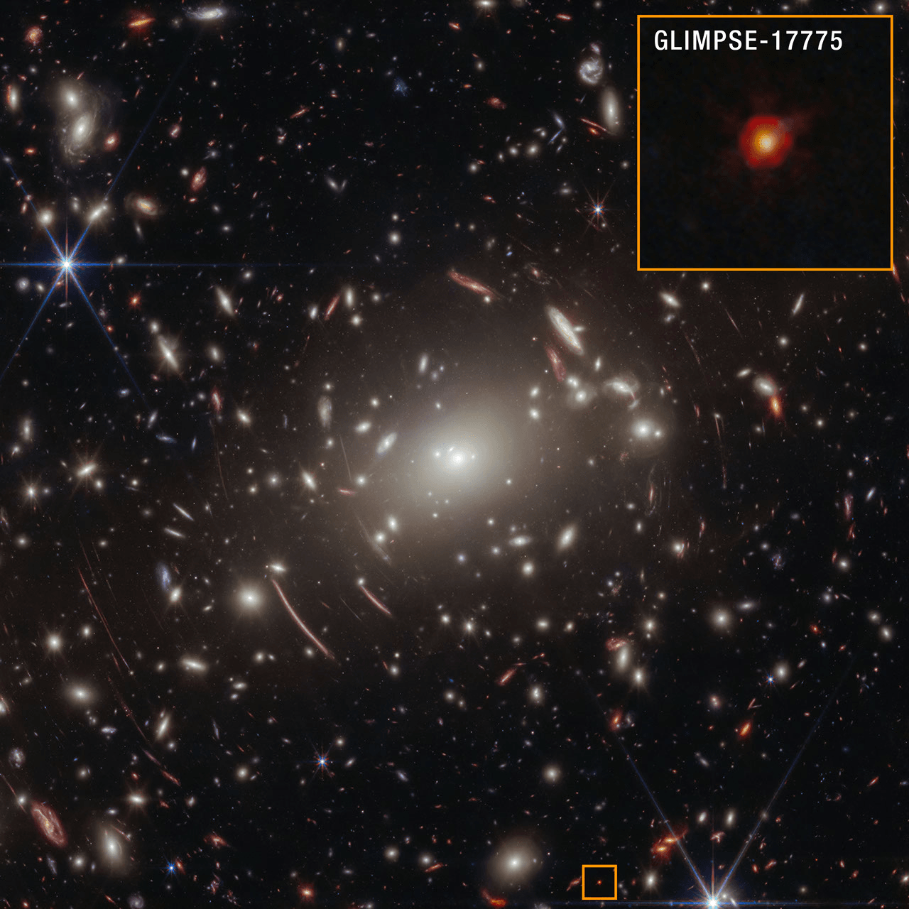 NASA Webb Finds Strongest Evidence Yet for ‘Black Hole Stars’ - NASA Science