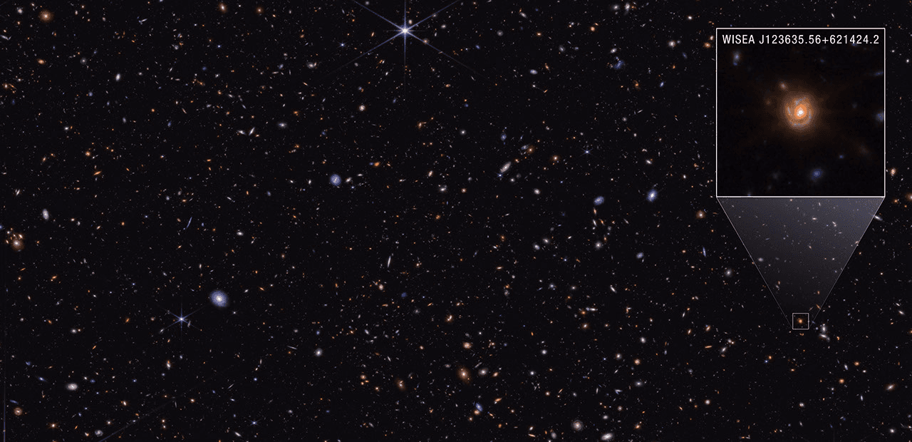 NASA Webb Explores Family Tree of Newly Discovered Distant Objects - NASA Science