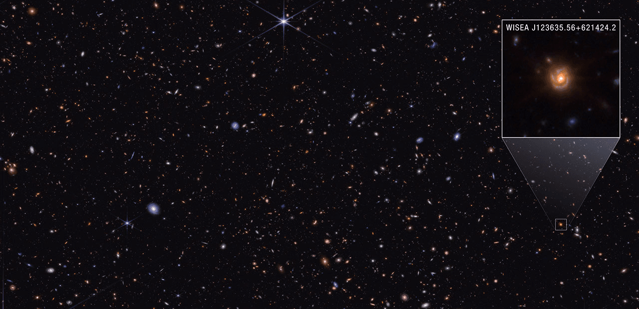 Il telescopio NASA Webb esplora l'albero genealogico di oggetti distanti appena scoperti - NASA Science