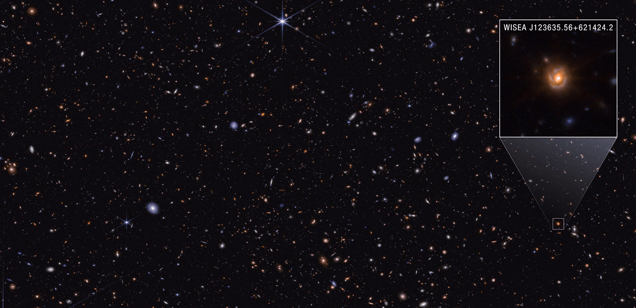 NASA Webb Explores Family Tree of Newly Discovered Distant Objects - NASA Science