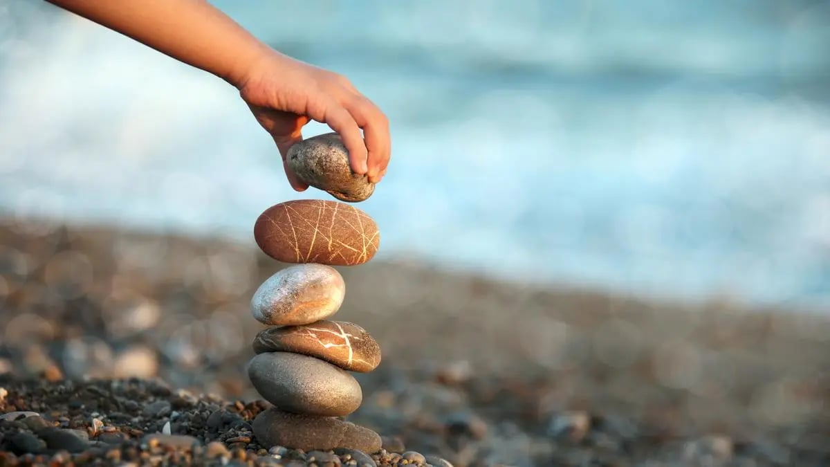 Disciplina del valore, crescita equilibrata - The HinduBusinessLine