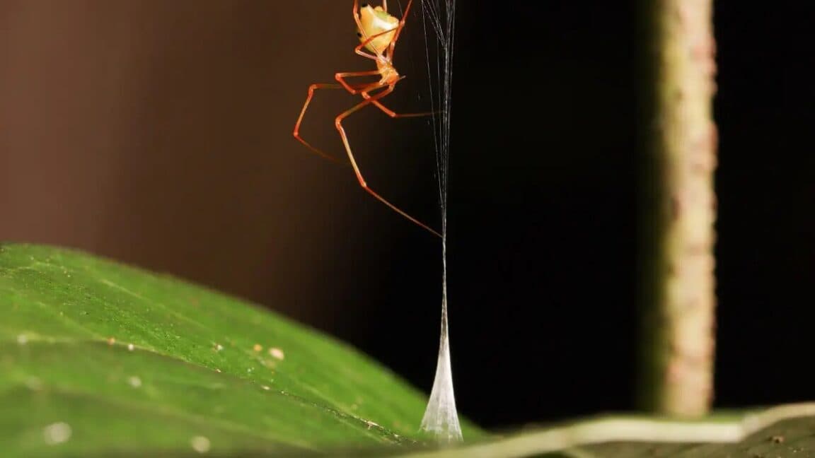 June research roundup: 6 cool science stories we almost missed - Ars Technica