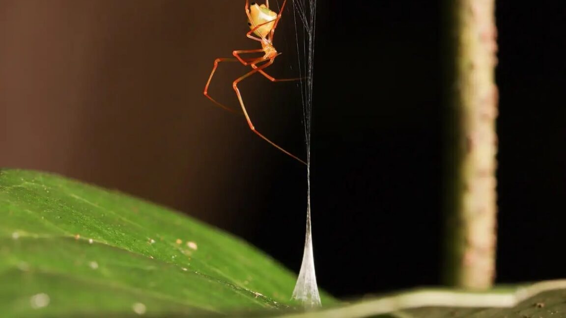 June research roundup: 6 cool science stories we almost missed - Ars Technica