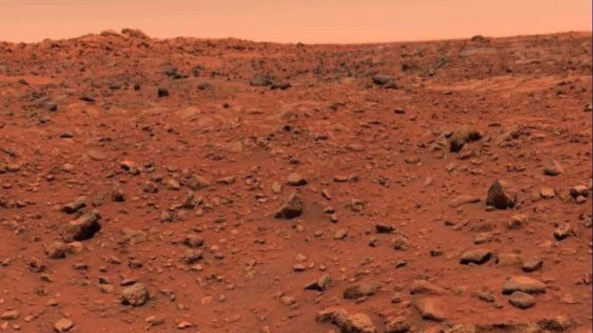 Vond Viking 1 vijftig jaar geleden leven op Mars? Dit is waarom het debat voortduurt