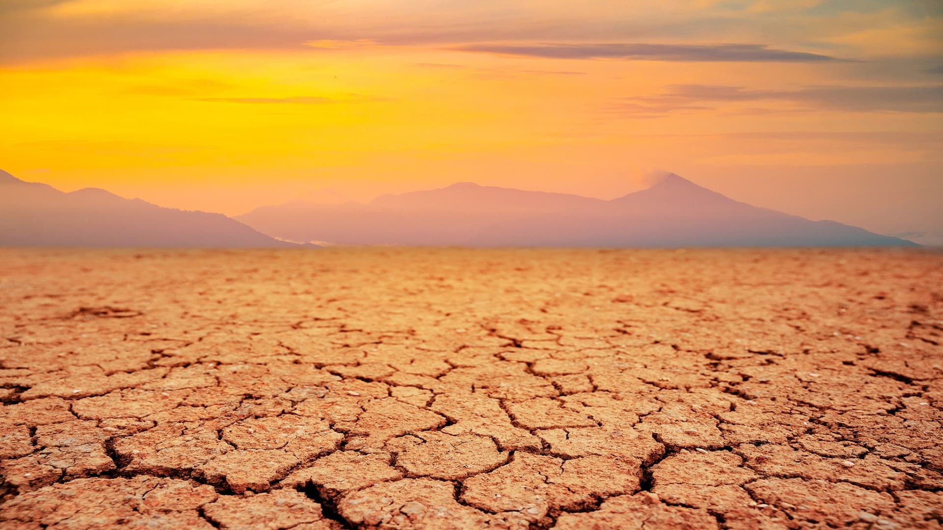 Study suggests life on Earth has around 1.8 billion years left ā but the biosphere might evolve to survive even longer