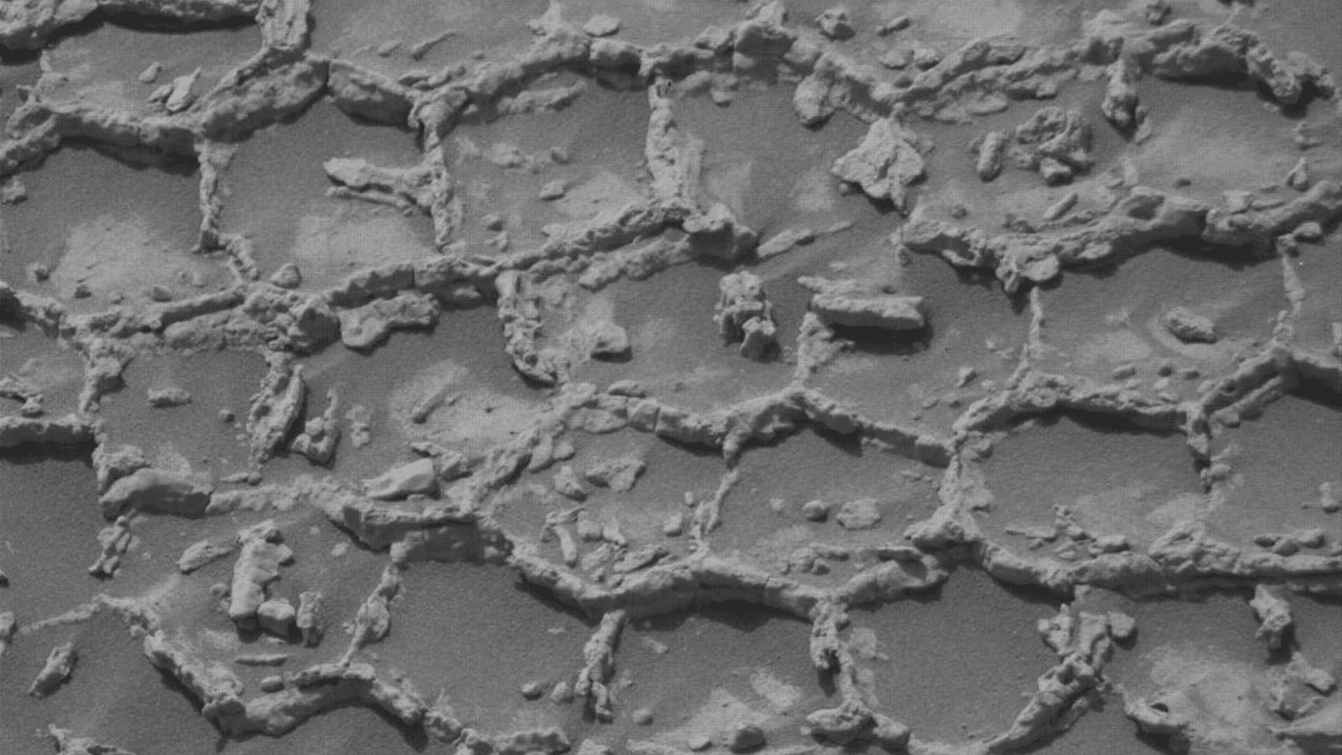 Honeycomb structures spotted on Mars