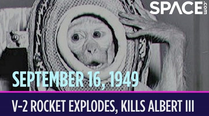 On this day in space! Sept. 16, 1949: A US launch of a V-2 rocket explodes, killing its monkey passenger Albert III