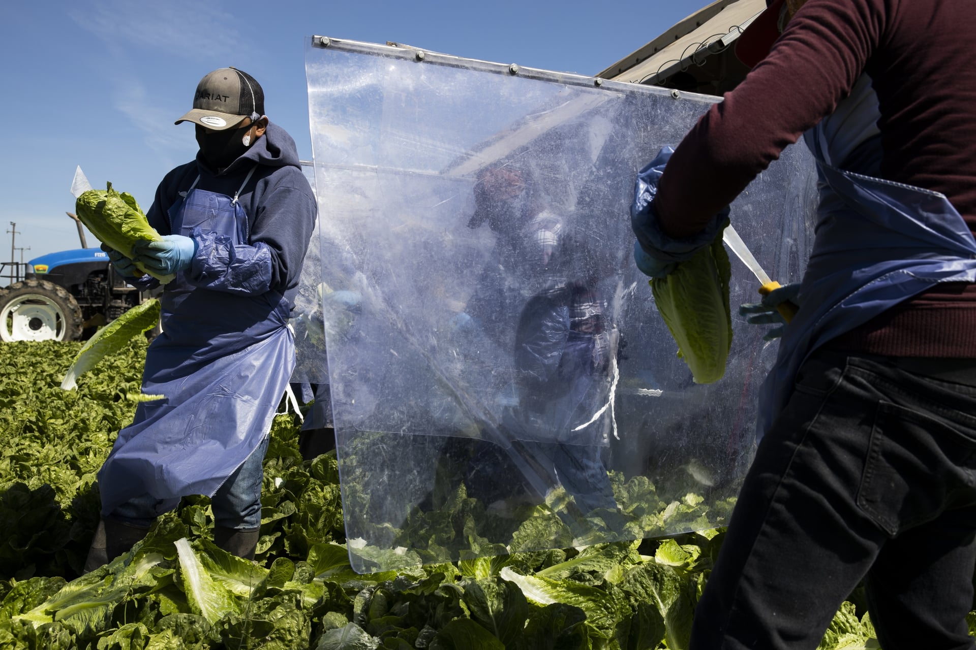 CDC Confirms 843 Cyclospora Cases Across 31 States as Michigan Outbreak Surpasses 1,500 Reports