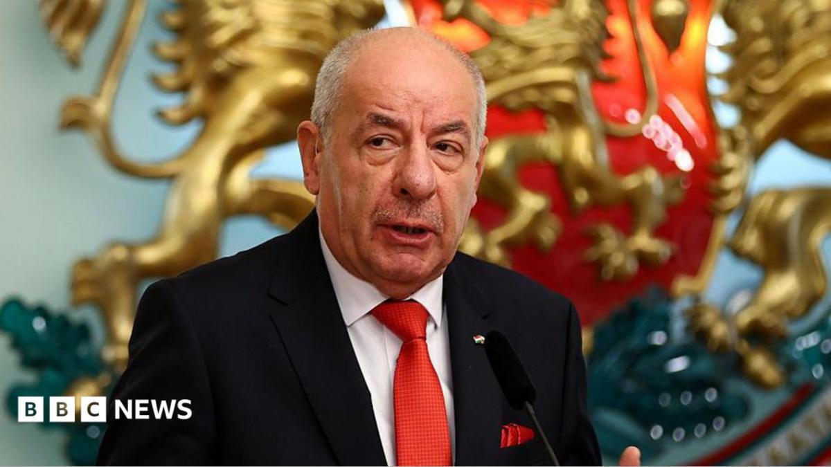 Il presidente dell'Ungheria accetta di dimettersi dopo il sostegno del parlamento alla sua rimozione - BBC News