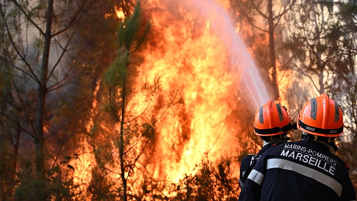 Can the EU combat wildfires? Ask the Euronews AI chatbot