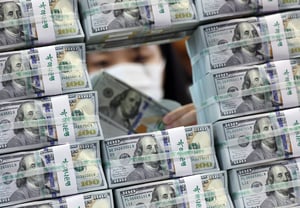 VS houdt Korea op FX-watchlist ondanks sterke fundamenten - The Korea Herald